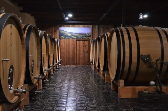 Wine Tour Piedmont