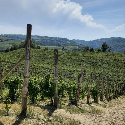 Langhe and Roero