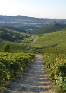 Langhe 1