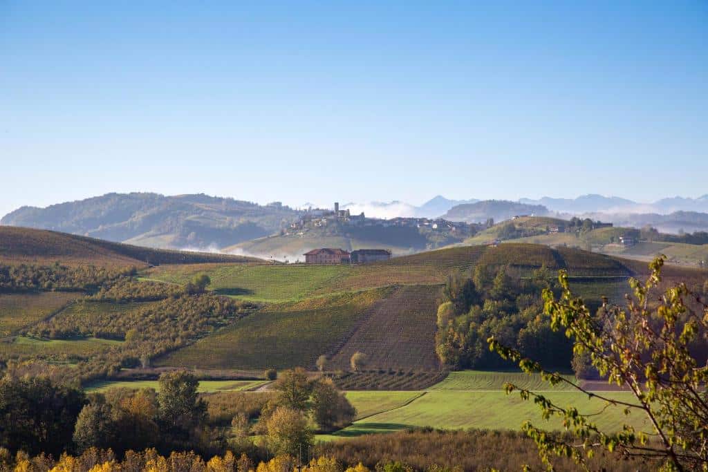 Piedmont Langhe